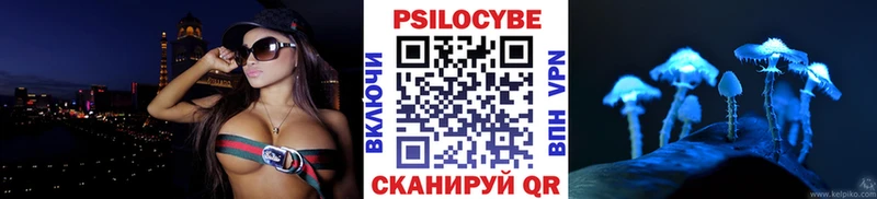 Псилоцибиновые грибы Psilocybe  сколько стоит  Полярные Зори 